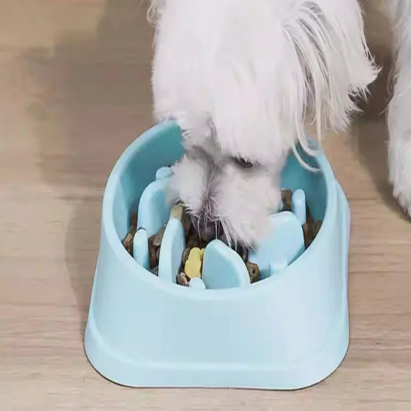 Anti-Choking Pet Bowl Slow Feeder Dog Bowl Cat and Dog Anti-Knock Small Dog Food Bowl Tableware Pet Supplies